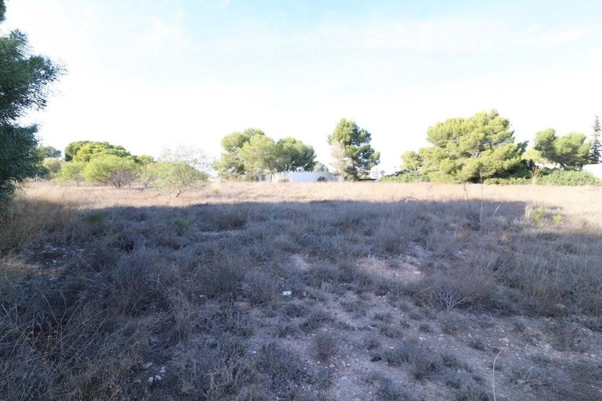 Land for sale in Orihuela, Alicante photo 2