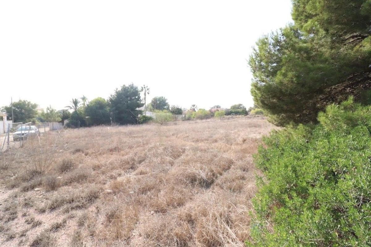 Land for sale in Orihuela, Alicante photo 3