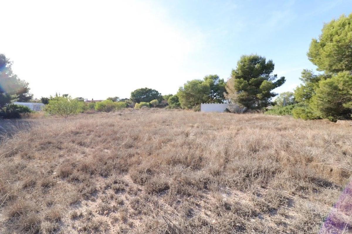 Land for sale in Orihuela, Alicante photo 5