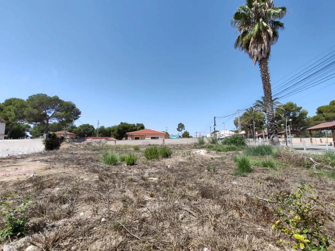 Terreno en venta en Pilar de la Horadada, Alicante photo 2