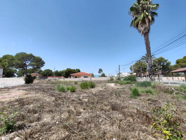 Terreno en avenida Pino del p C, 70 photo 2