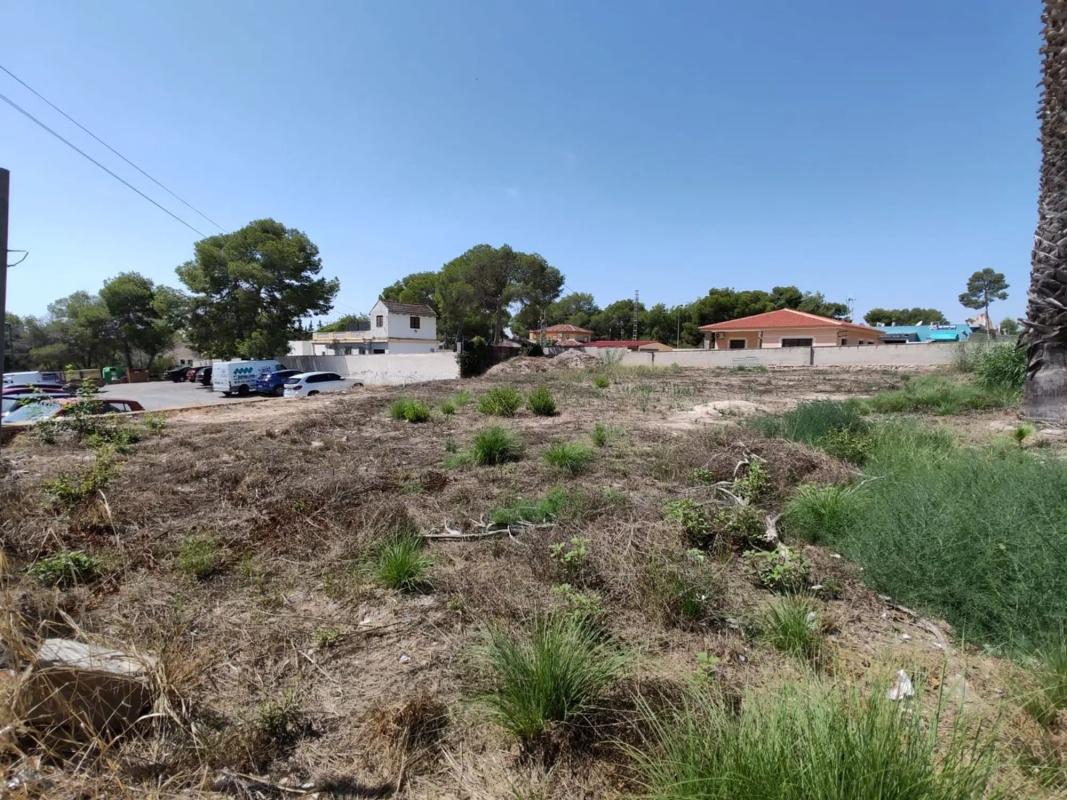Terreno en venta en Pilar de la Horadada, Alicante photo 3