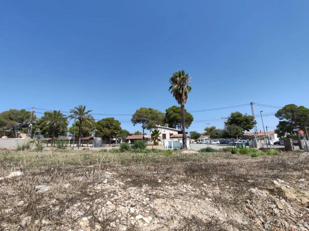 Terreno en venta en Pilar de la Horadada, Alicante photo 4