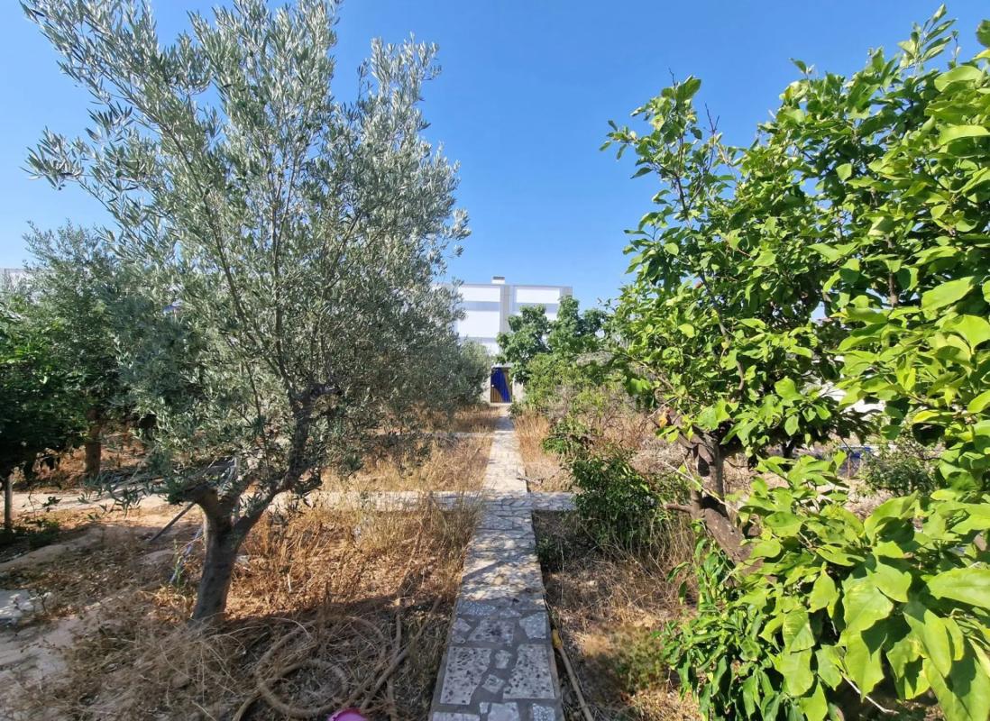 Terreno en venta en Rojales, Alicante photo 1