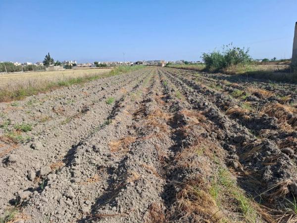 Terreno en Partida lo Saavedra photo 1