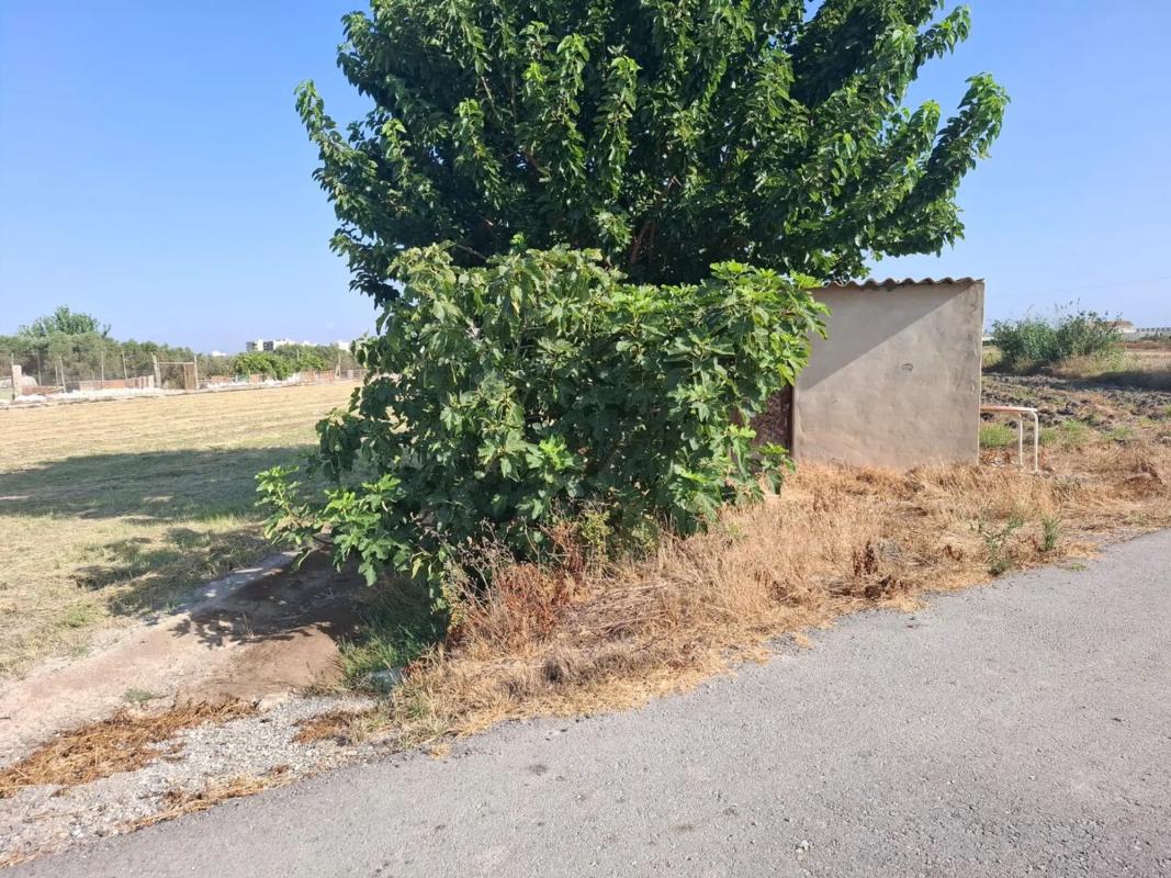 Terreno en venta en Rojales, Alicante photo 4