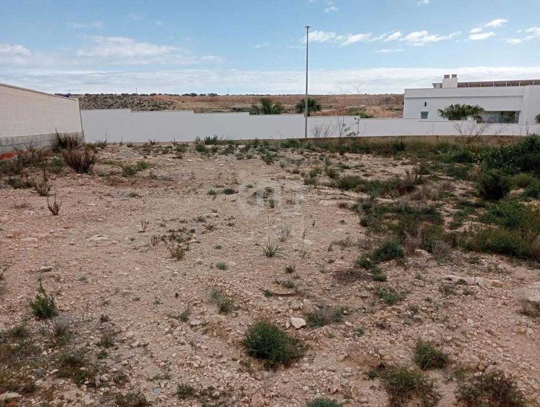 Terreno en venta en San Fulgencio, Alicante photo 5