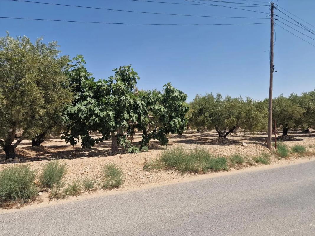 Terreno en venta en Crevillente, Alicante photo 2