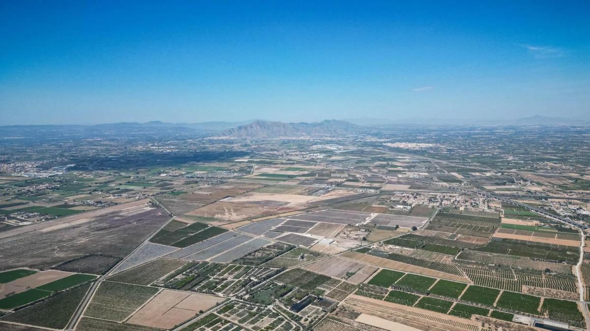 Land for sale in Crevillente, Alicante photo 5
