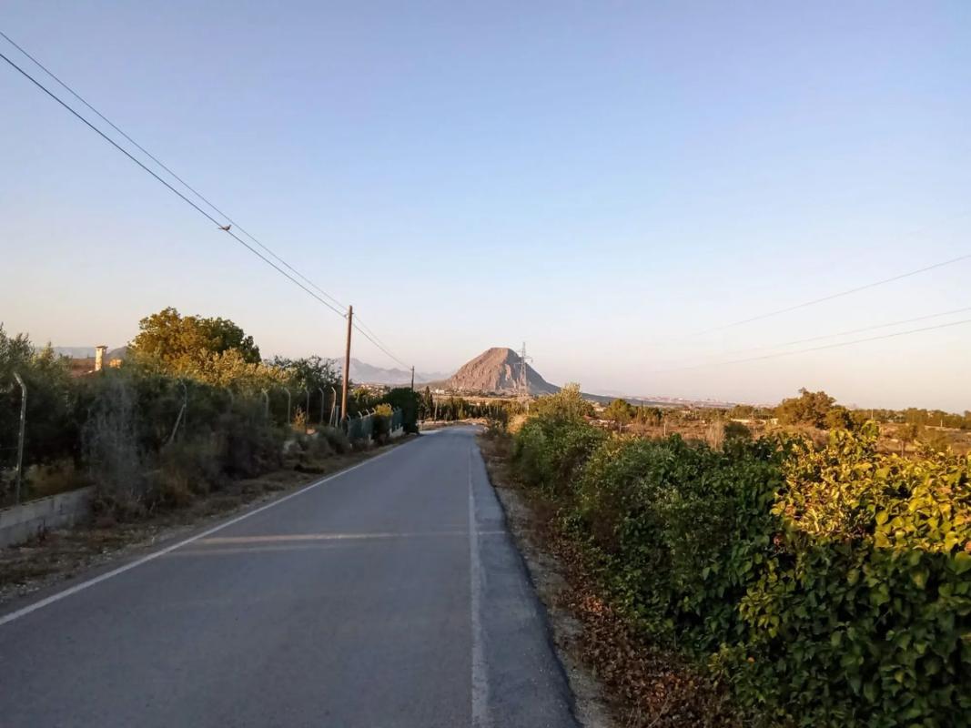 Terreno en venta en Elche / Elx, Alicante photo 5