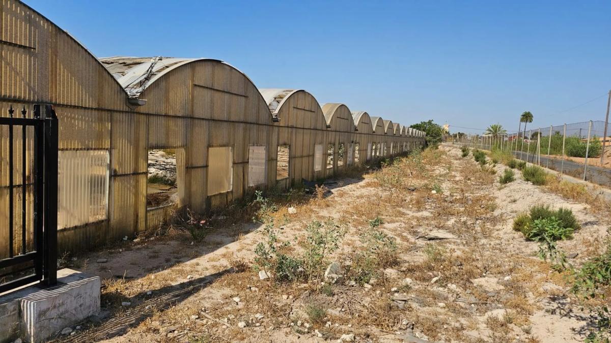 Land for sale in Elche / Elx, Alicante photo 1