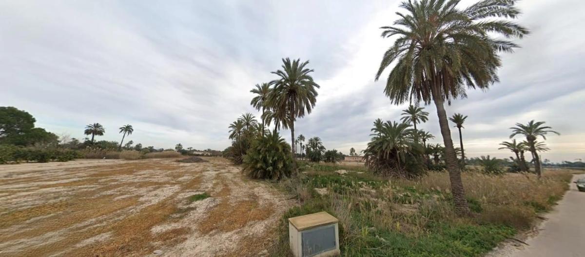 Terreno en venta en Elche / Elx, Alicante photo 1