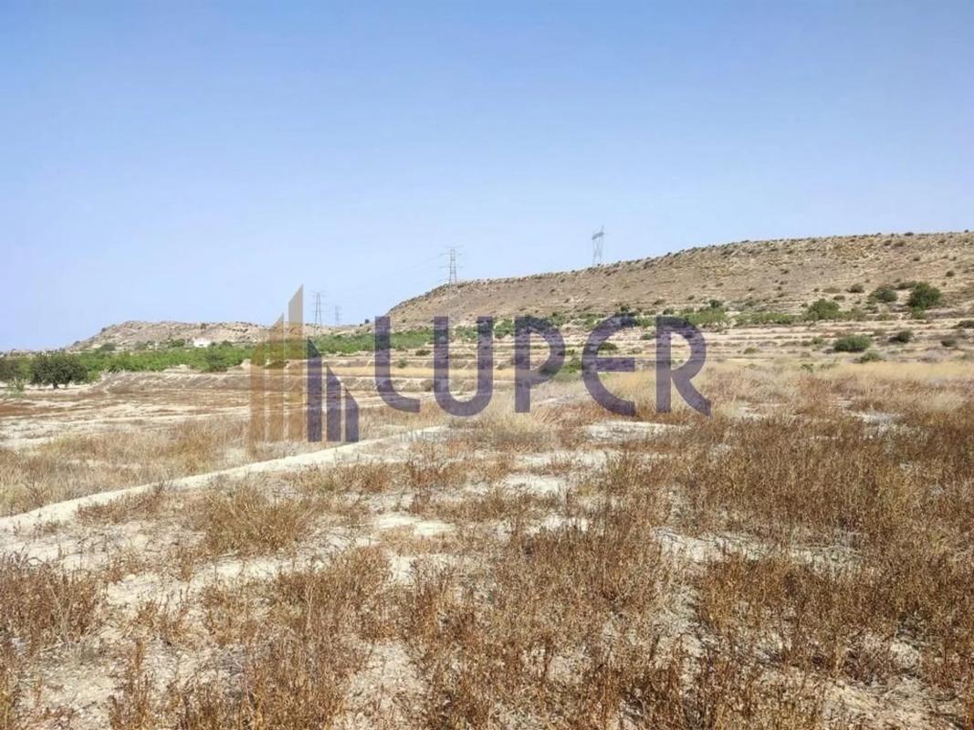Terreno en venta en Elche / Elx, Alicante photo 1