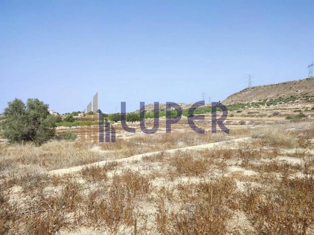 Terreno en venta en Elche / Elx, Alicante photo 2