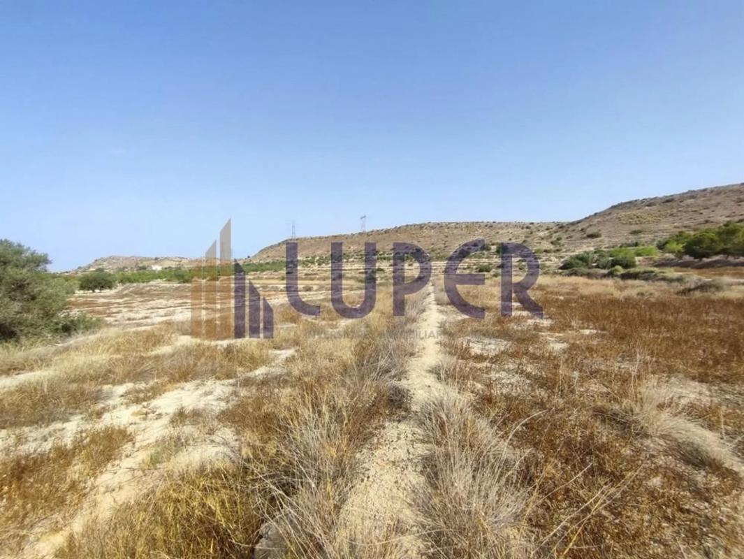 Terreno en venta en Elche / Elx, Alicante photo 3