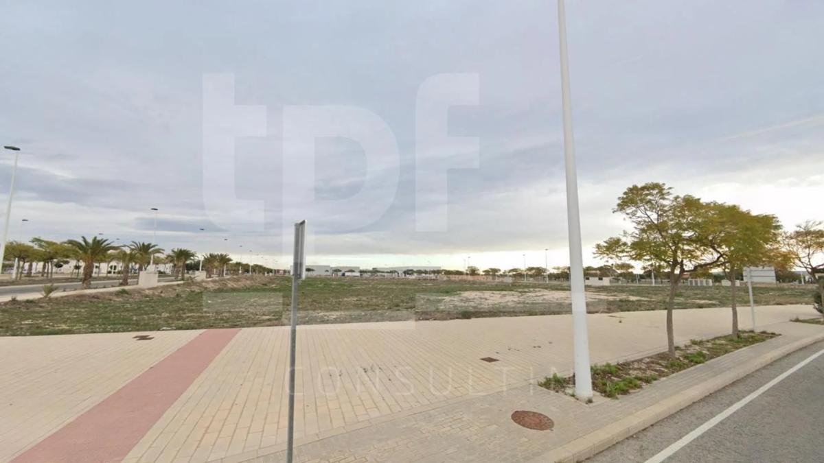 Land for sale in Elche / Elx, Alicante photo 3