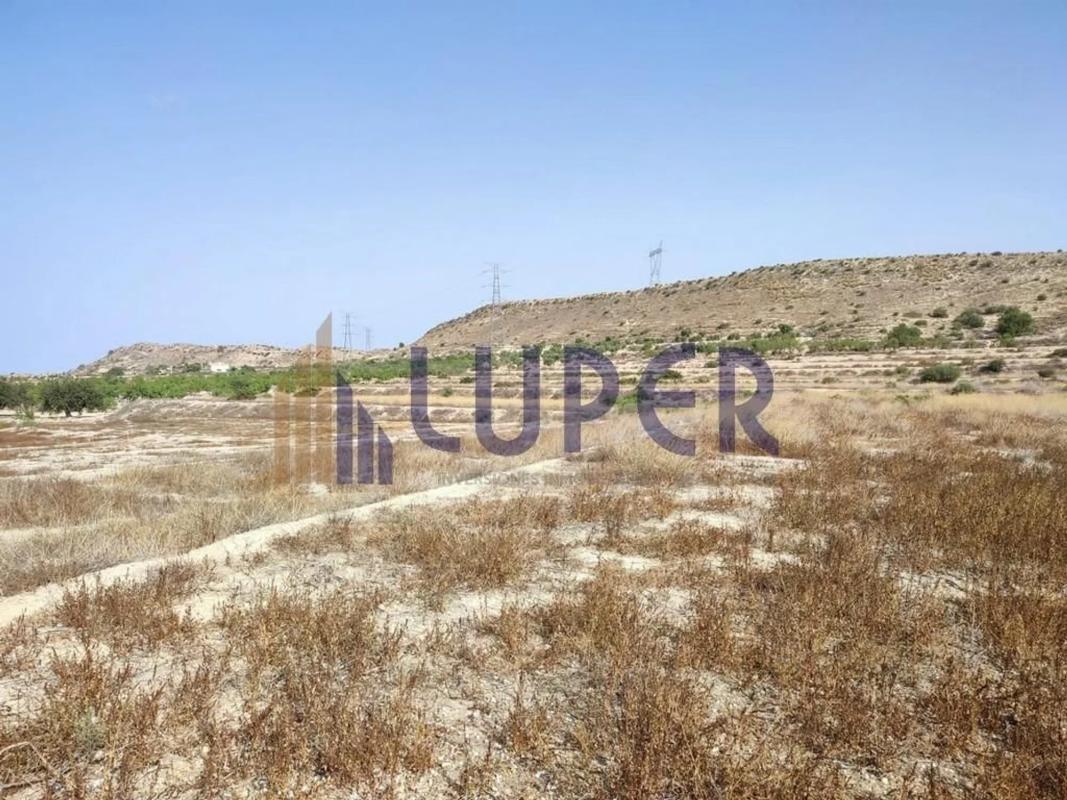 Terreno en venta en Elche / Elx, Alicante photo 4