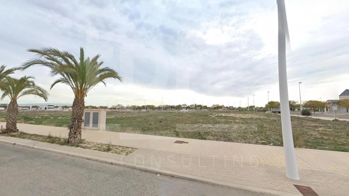 Land for sale in Elche / Elx, Alicante photo 4