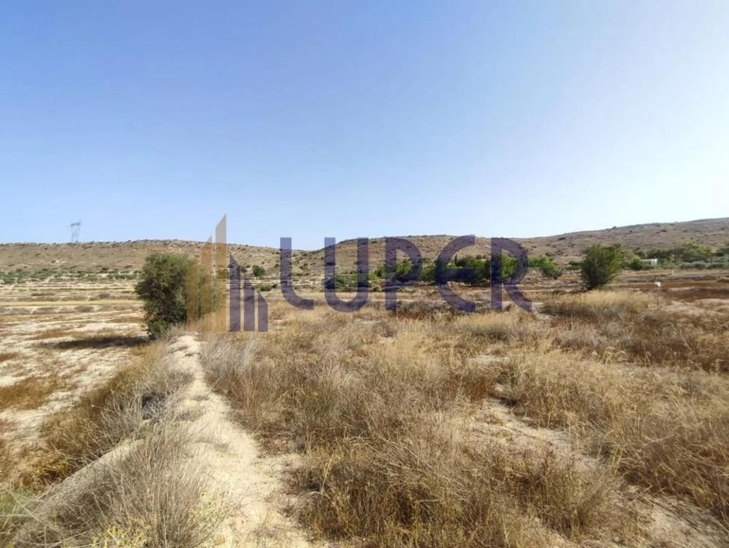 Terreno en venta en Elche / Elx, Alicante photo 5