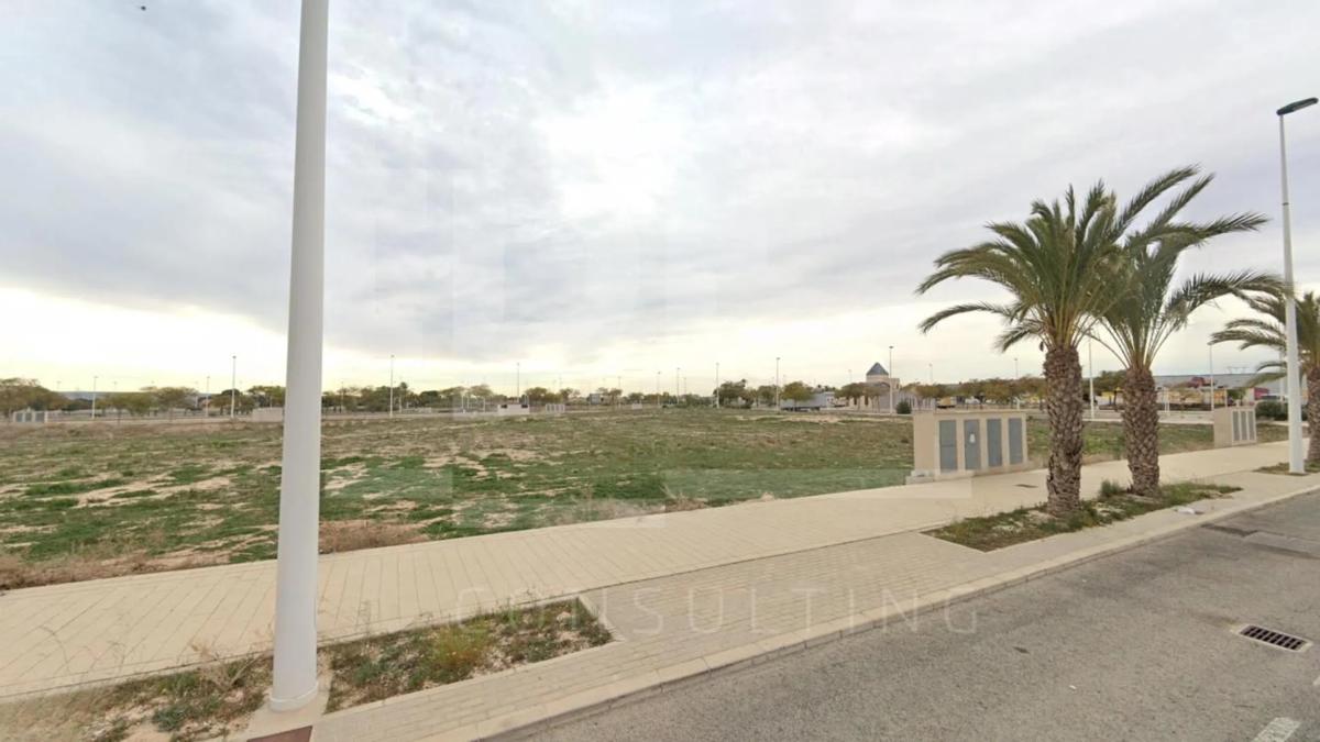 Land for sale in Elche / Elx, Alicante photo 5