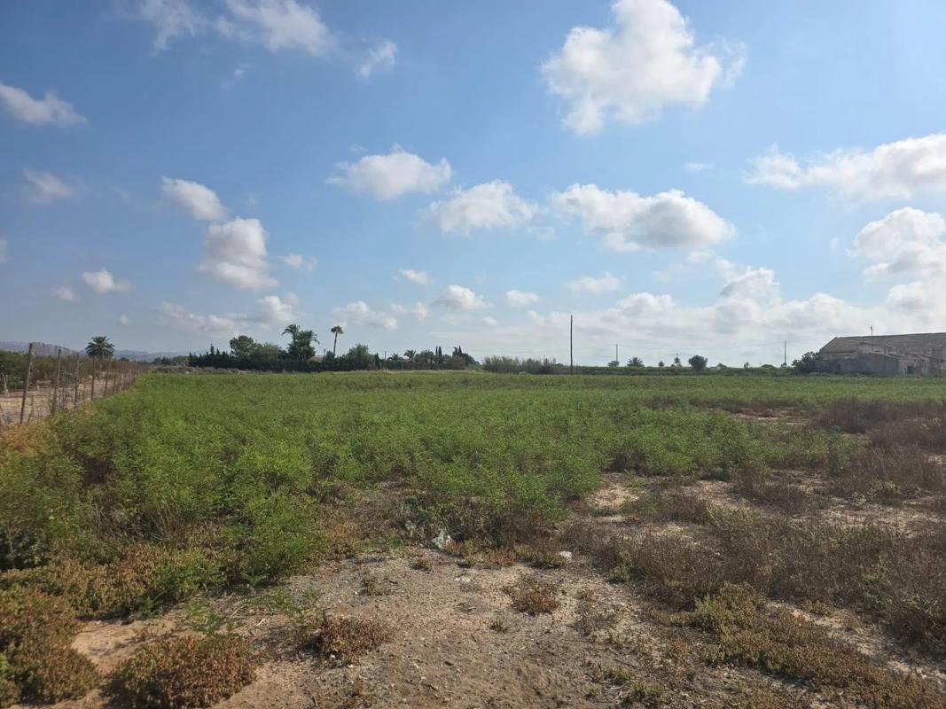 Terreno en venta en Elche / Elx, Alicante photo 3