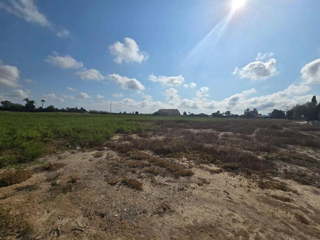 Terreno en venta en Elche / Elx, Alicante photo 5