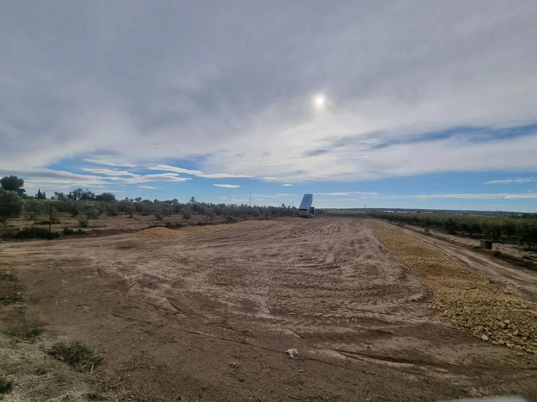 Działka na sprzedaż w Elche / Elx, Alicante photo 1