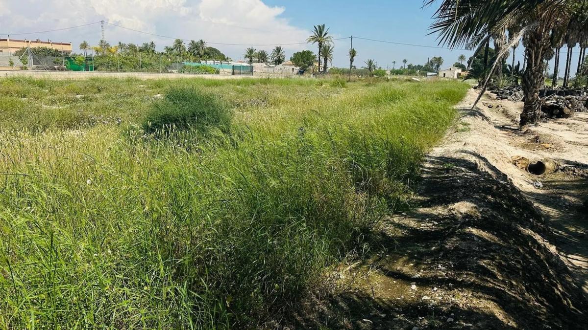 Terreno en venta en Elche / Elx, Alicante photo 3