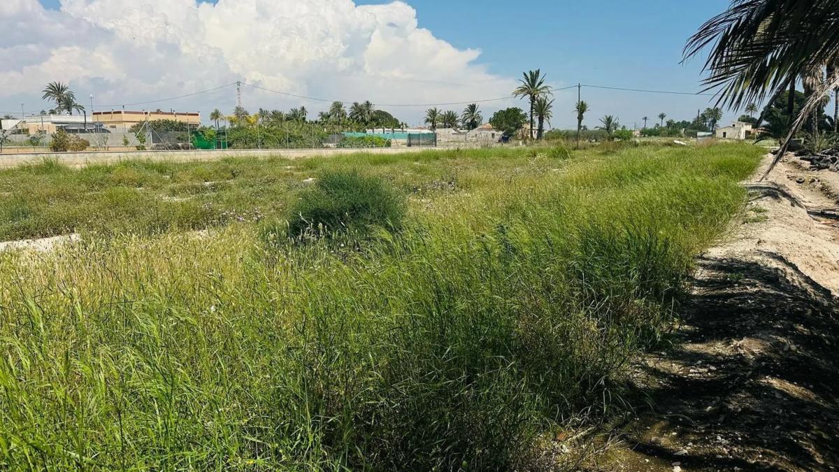 Terreno en venta en Elche / Elx, Alicante photo 4