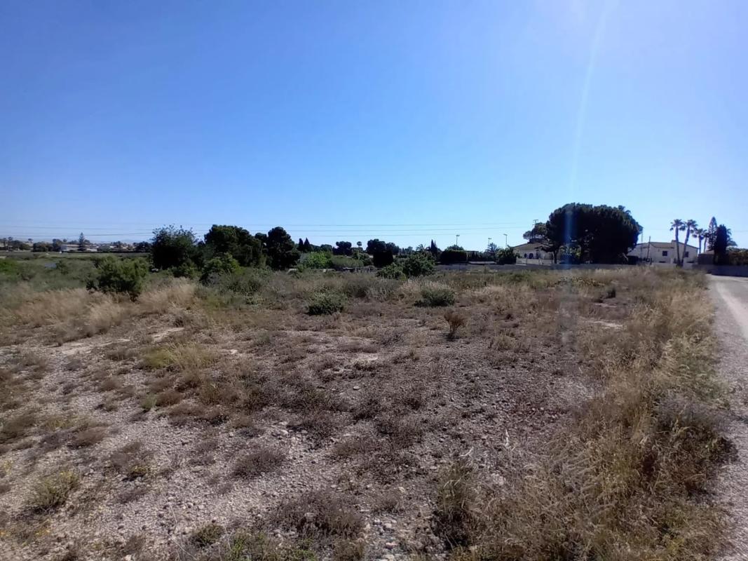 Terreno en venta en Elche / Elx, Alicante photo 2