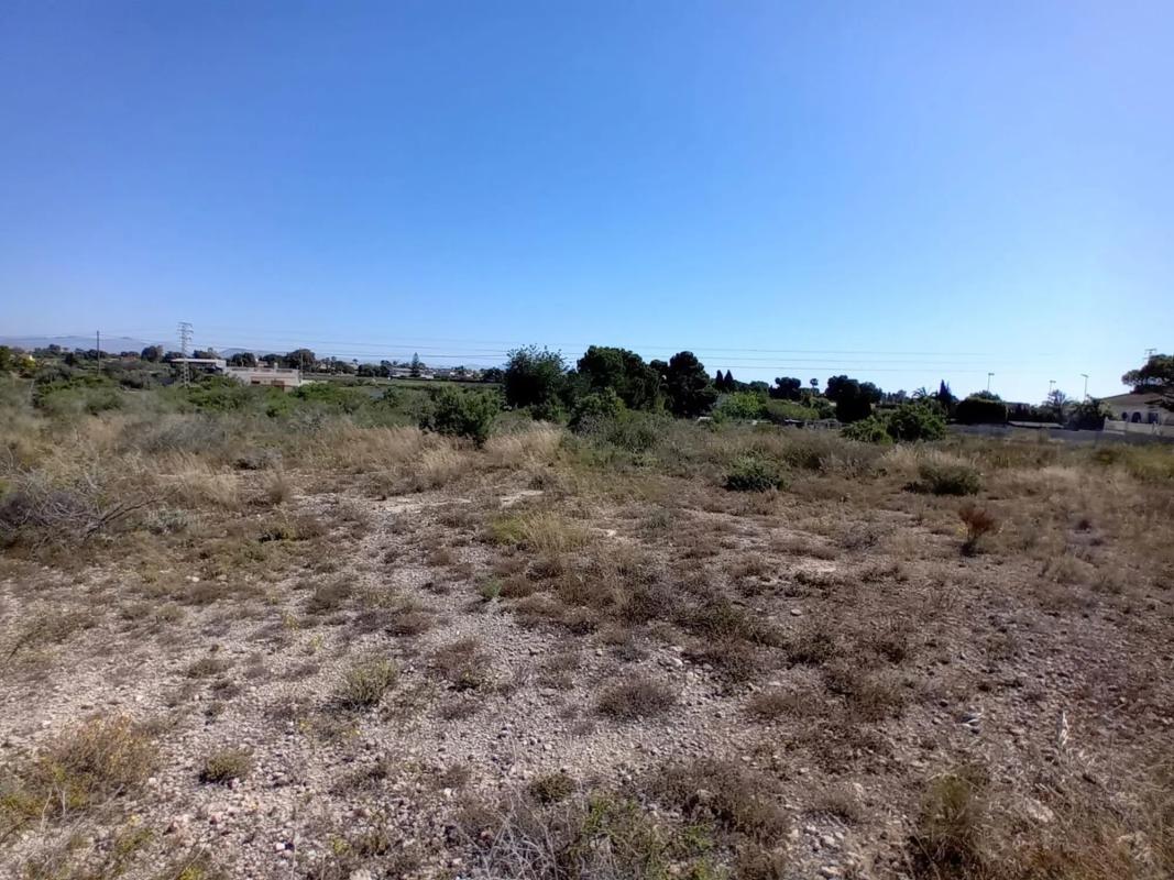 Terreno en venta en Elche / Elx, Alicante photo 3