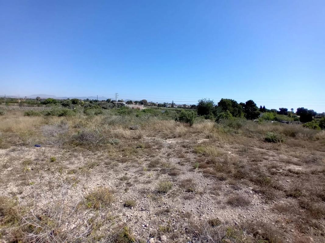 Terreno en venta en Elche / Elx, Alicante photo 4