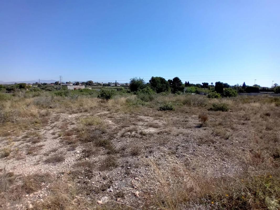 Terreno en venta en Elche / Elx, Alicante photo 5