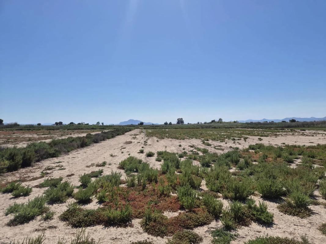 Terreno en venta en Elche / Elx, Alicante photo 2