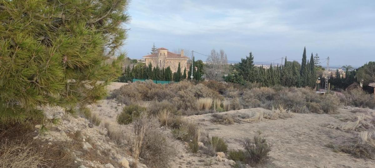 Terreno en venta en Elche / Elx, Alicante photo 3