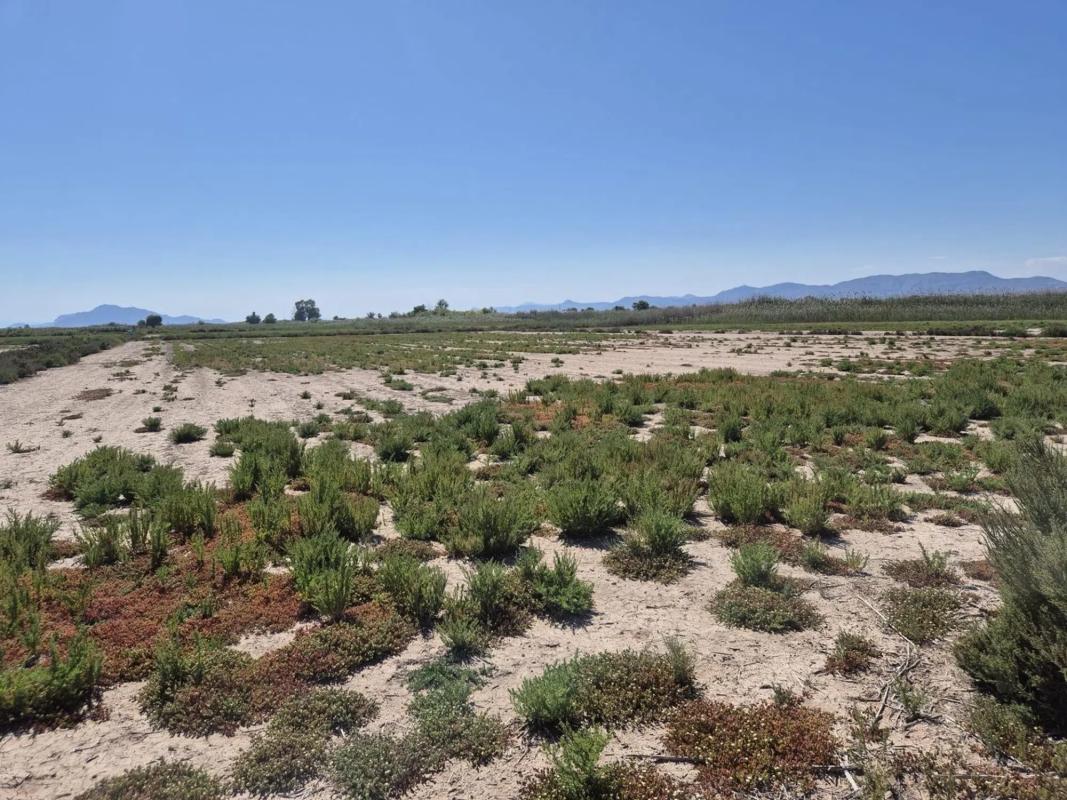 Terreno en venta en Elche / Elx, Alicante photo 5