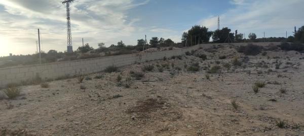 Terreno en Partida Peña Águilas photo 4