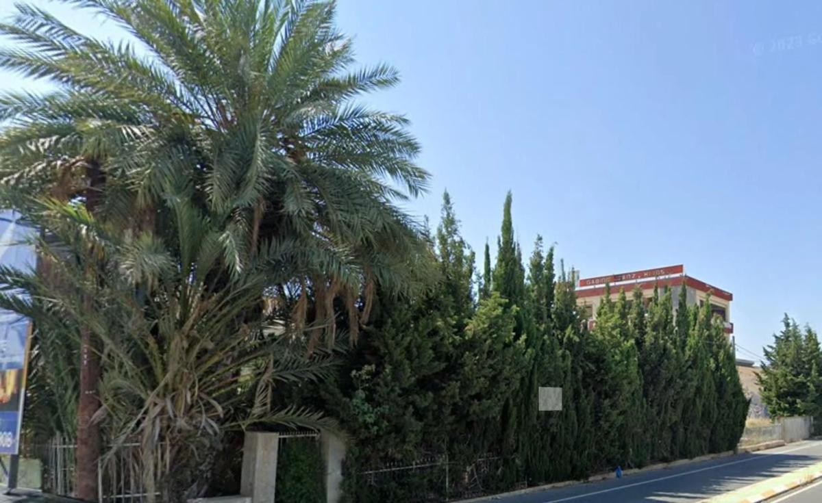 Land for sale in Elche / Elx, Alicante photo 4