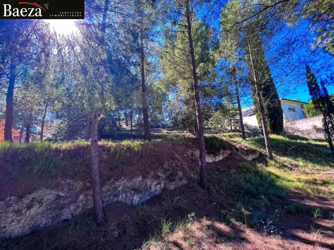 Land for sale in Cocentaina, Alicante photo 3