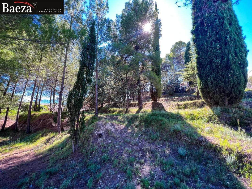 Land for sale in Cocentaina, Alicante photo 4