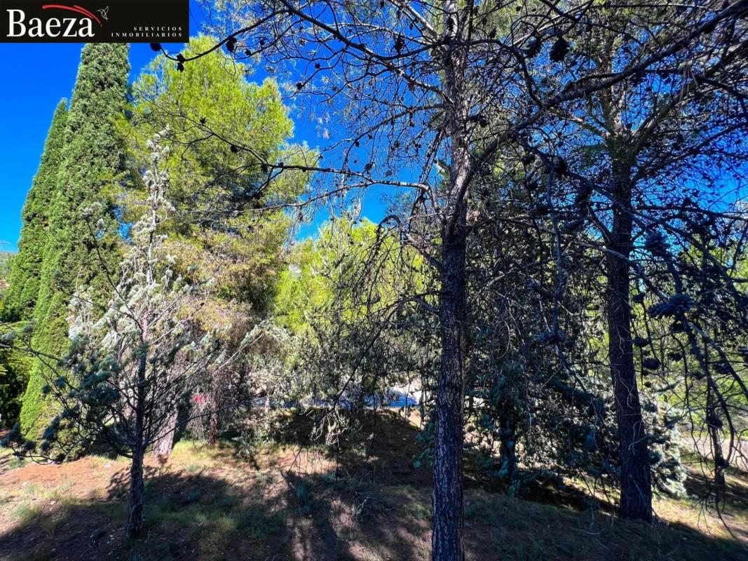 Land for sale in Cocentaina, Alicante photo 5