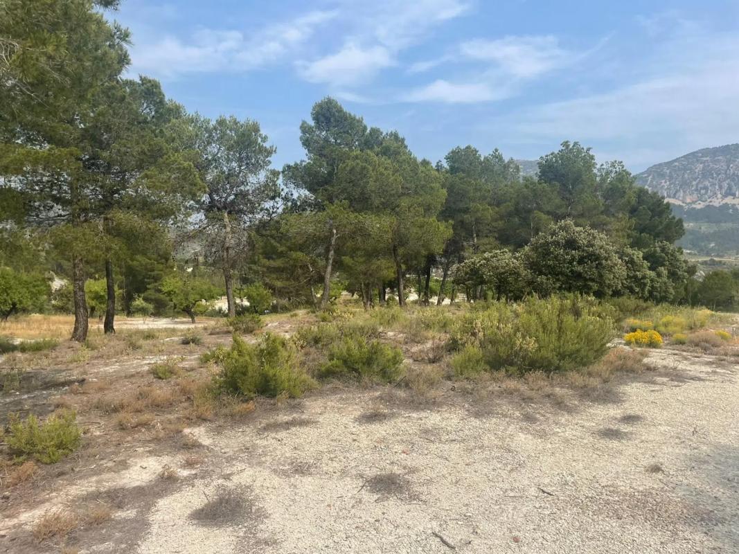 Land for sale in Balls, Alicante photo 1