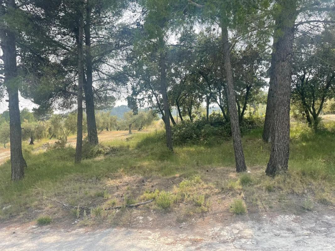Land for sale in Balls, Alicante photo 3