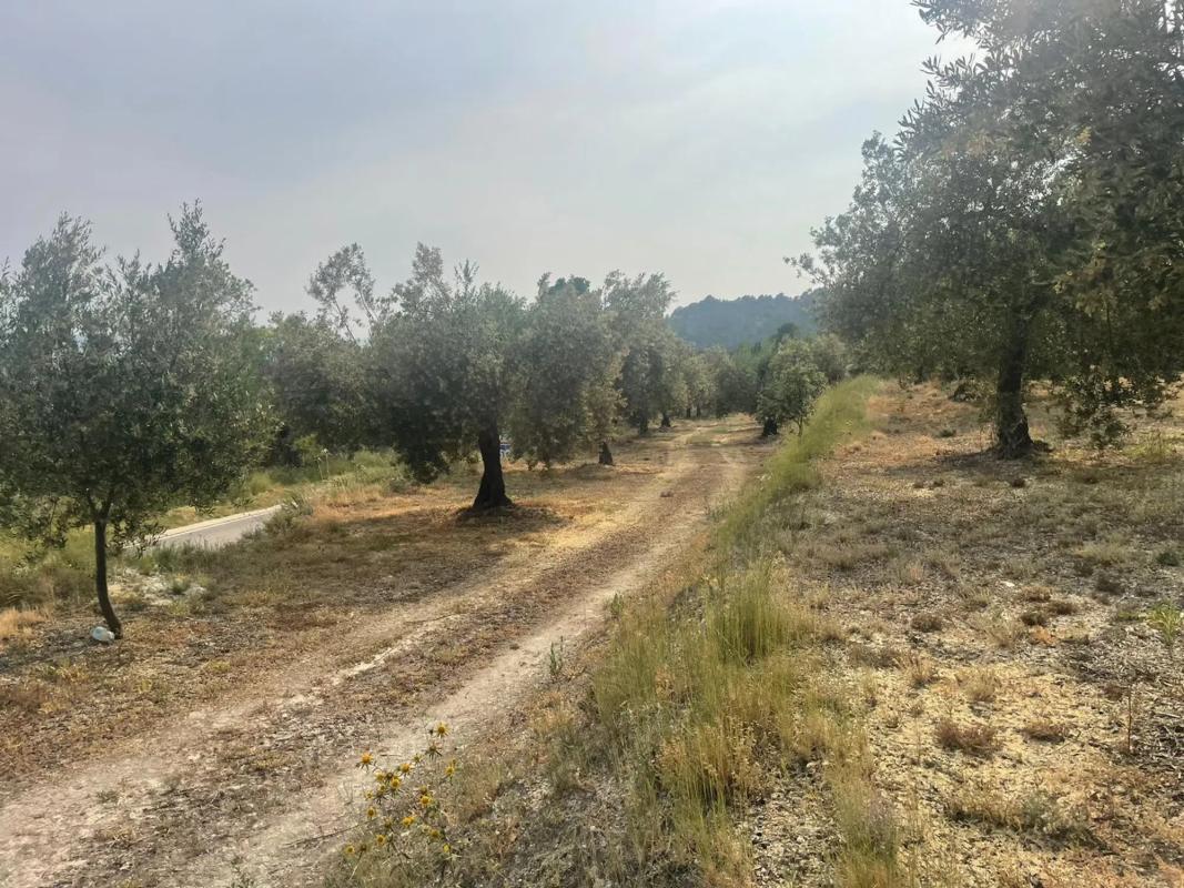 Land for sale in Balls, Alicante photo 4