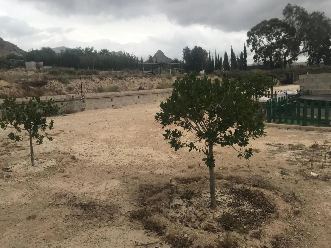 Działka na sprzedaż w Agost, Alicante photo 4