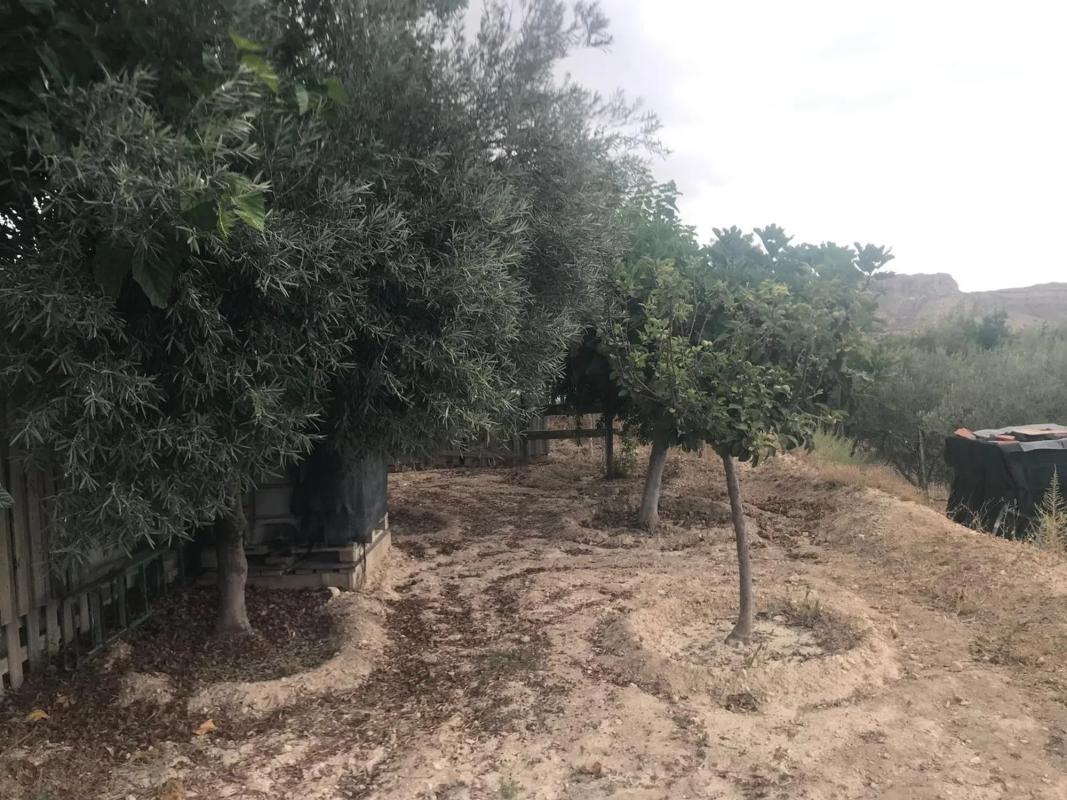 Działka na sprzedaż w Agost, Alicante photo 5