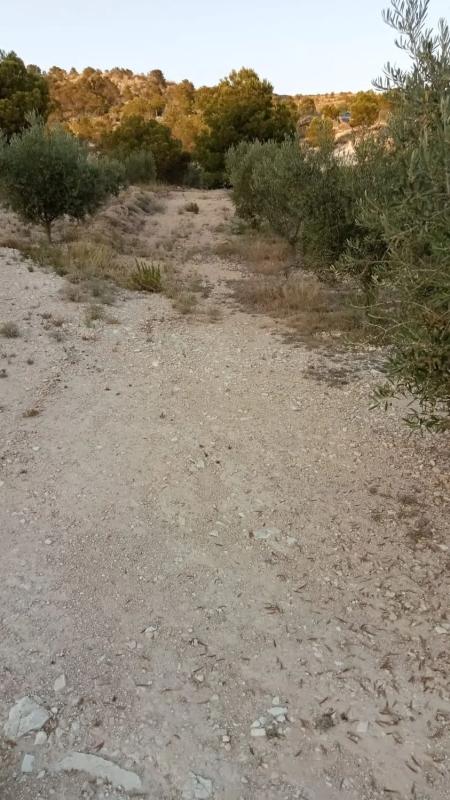 Terreno en venta en Agost, Alicante photo 3