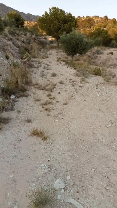 Terreno en venta en Agost, Alicante photo 4