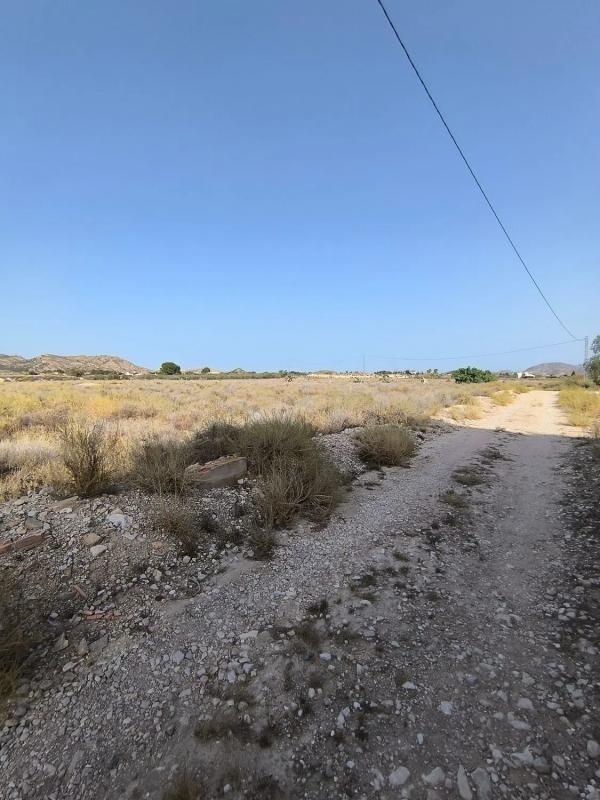 Land for sale in August, Alicante photo 3