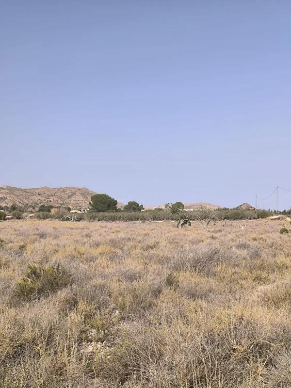 Land for sale in August, Alicante photo 4